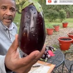 Torpedopot - Www.torpedopot.com leverages the microbes in the soil to grow your food. You never water or feed.