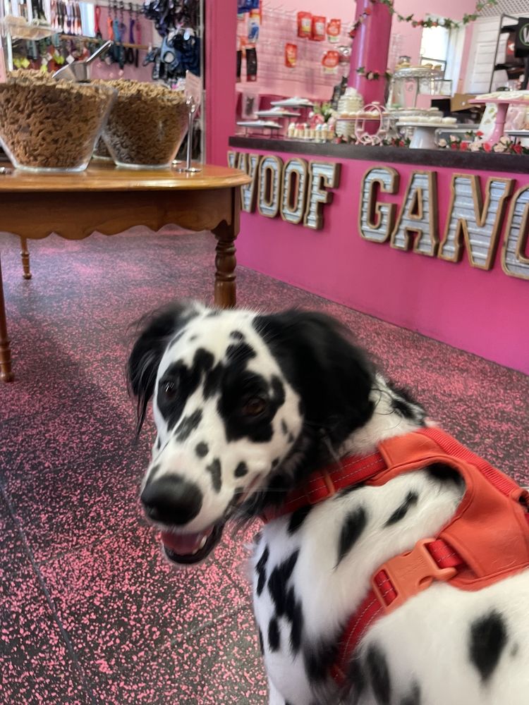 Woof Gang Bakery Bull Street Image