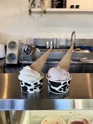 Cloud City Ice Cream by null