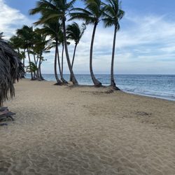 Kustom Kreations Travels - The beach