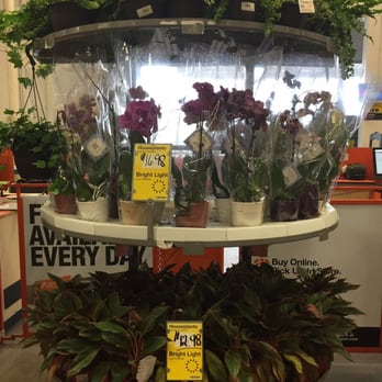 The Home Depot - Indoor plant display - Nurseries & Gardening Near Me - Middletown, Connecticut The Home Depot - Indoor plant display - Nurseries & Gardening Near Me - Middletown, Connecticut