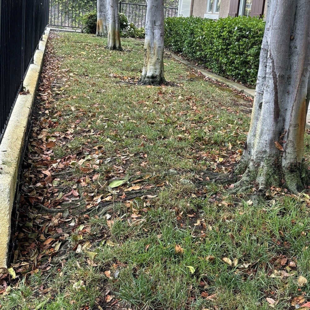 LaBahn's Landscaping - Landscaping Near Me - Santee, California