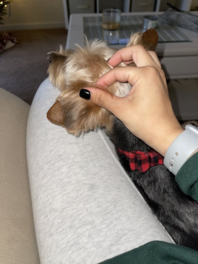 BARK LODGE Updated August 2024 18 Photos & 13 Reviews 959 Hwy 66