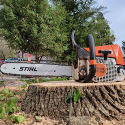Wildwood Tree Service