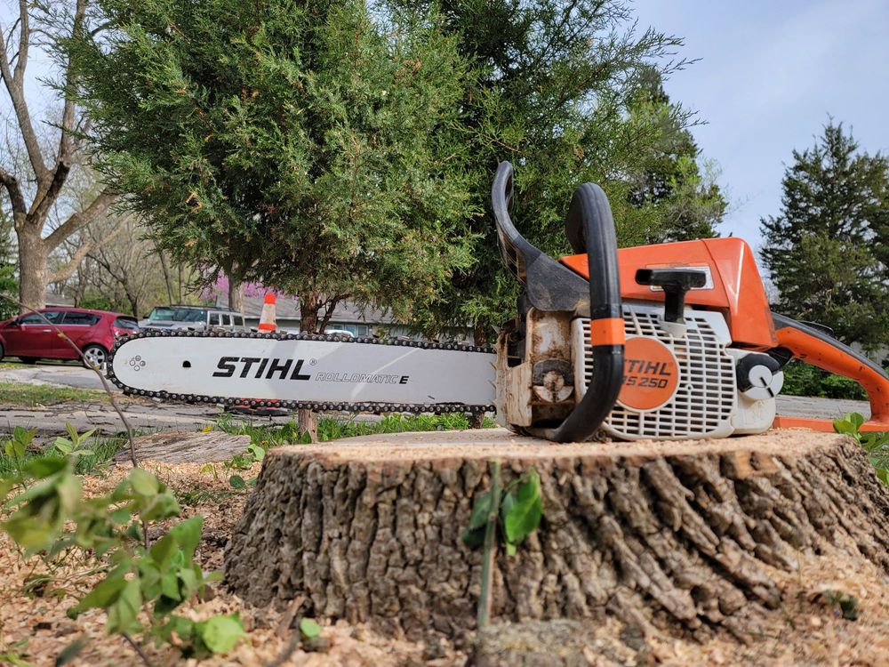 Wildwood Tree Service - tree service in Kansas City, MO