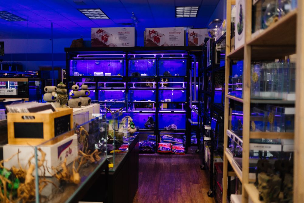 BENSON’S FISH ROOM Updated August 2024 2031 Double Day Ave