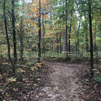 Conway Robinson State Forest - Hiking Near Me - Gainesville, Virginia