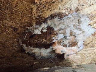 Slide of Wkl Roofing