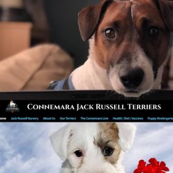 Connemara Terriers