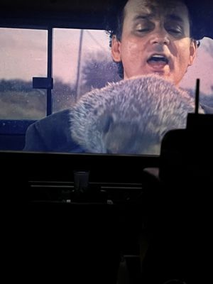 Alamo Drafthouse Cinema Littleton by null
