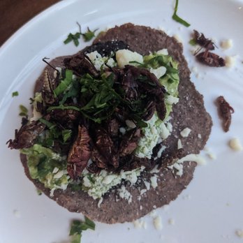 Bakan - Tostada de chapulines (crispy grasshoppers) - Mexican Near Me - Miami, Florida Bakan - Tostada de chapulines (crispy grasshoppers) - Mexican Near Me - Miami, Florida