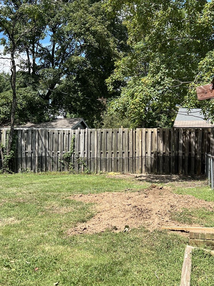 Rlayang Tree service - tree service in Greensboro, NC