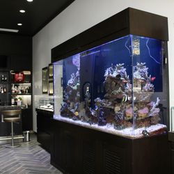 Provident Jewelry