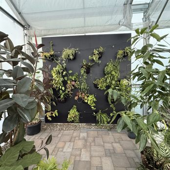 The Houseplant Hub - Houseplant Hub - Interior - Nurseries & Gardening Near Me - Forest Grove, Oregon The Houseplant Hub - Houseplant Hub - Interior - Nurseries & Gardening Near Me - Forest Grove, Oregon