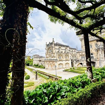 Bussaco Palace - Hotels Near Me - Mata do Bussaco, 01 Bussaco Palace - Hotels Near Me - Mata do Bussaco, 01