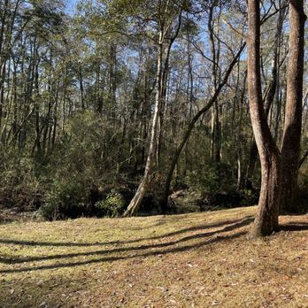Oscar Johnson Park - The Woods - Hiking Near Me - Silverhill, Alabama