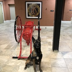 Metropolitan Public Safety & Security