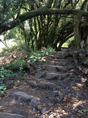 Matt Davis Trail Head by null