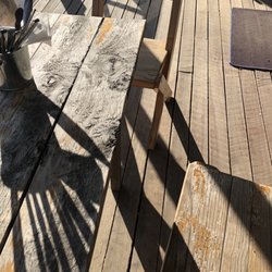 Penguin and Pardalote - Sit out in the sun