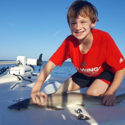 Carter's Sport Fishing - Bonnet Head Shark
