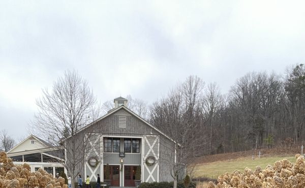 Pippin Hill Farm & Vineyards by null