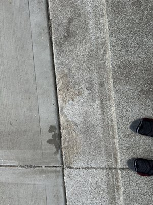 Trim A Seal Of Indiana