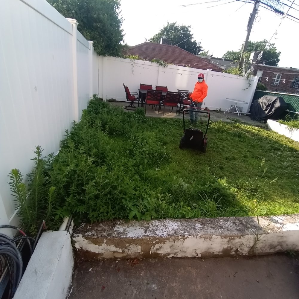Angel's Landscaping - tree service in Flushing, NY