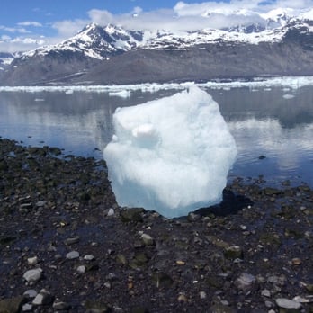 VS Helicopters - This ice chunk looked like a pebble from the sky, but once on the beach, it was taller than I was. - Tours Near Me - Valdez, Alaska