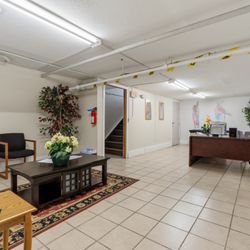 Academy Of Natural Therapy