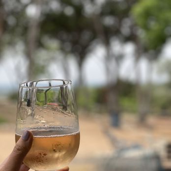 The Shady Llama - a person holding a glass of wine - Beer Gardens Near Me - Wimberley, Texas The Shady Llama - a person holding a glass of wine - Beer Gardens Near Me - Wimberley, Texas