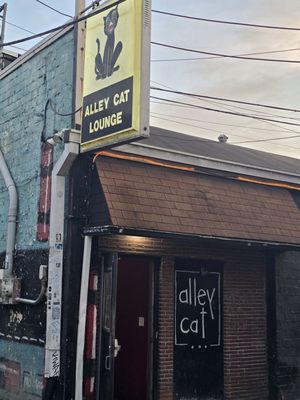 Alley Cat Lounge by null