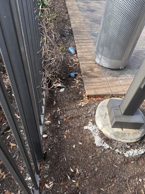 1879 at the Grid Apartments by null