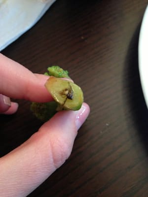 Young Chow Garden by null