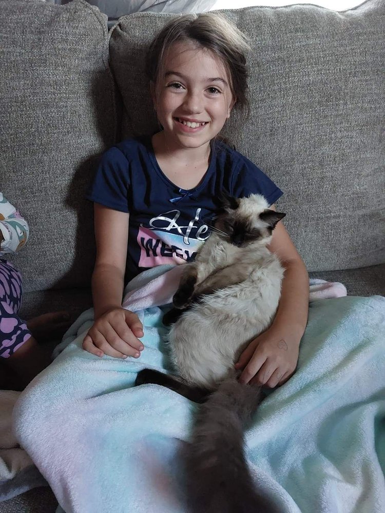 ARK VETERINARY HOSPITAL & URGENT CARE Updated July 2024 22 Photos