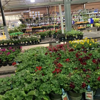Lowe's Home Improvement - Hardware Stores Near Me - Webster, Texas