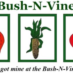 Bush-N-Vine - Lake Wylie
