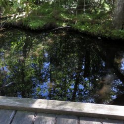 Silver Lake Bog Preserve - Along the boardwalk