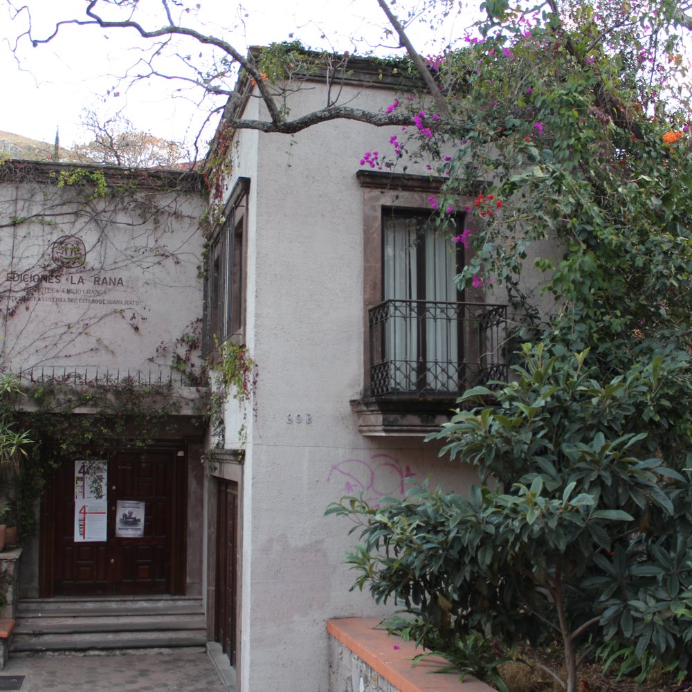 THE BEST 10 Professional Services in Guanajuato, Mexico - Quality &  Affordability - Updated 2025 - Yelp