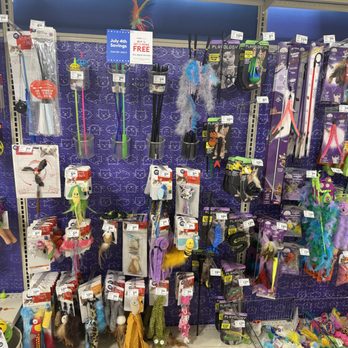 PetSmart - Pet Training Near Me - Columbia, South Carolina PetSmart - Pet Training Near Me - Columbia, South Carolina