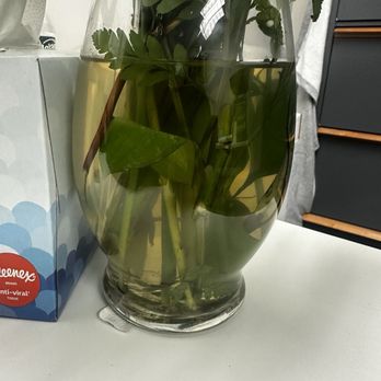 A Bella Mia Flowers - This was the state of the water upon arrival. - Florists Near Me - Norwood, Massachusetts