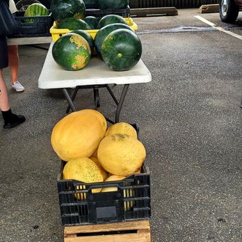 Baltimore Farmers' Market & Bazaar - Melons - Farmers Market Near Me Baltimore Farmers' Market & Bazaar - Melons - Farmers Market Near Me