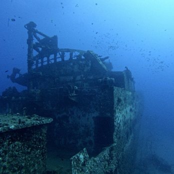 Trident Adventures - Dive Shops Near Me - Honolulu, Hawaii Trident Adventures - Dive Shops Near Me - Honolulu, Hawaii