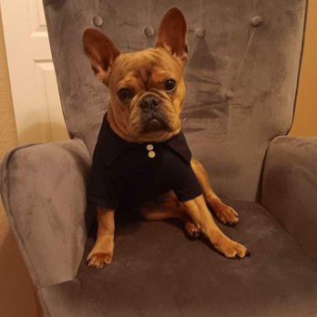 Pretty Paws Pet Grooming - Pet Groomers Near Me - Las Vegas, Nevada Pretty Paws Pet Grooming - Pet Groomers Near Me - Las Vegas, Nevada