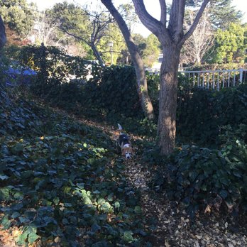 Cipriani Dog Park - Dog Parks Near Me - Belmont, California Cipriani Dog Park - Dog Parks Near Me - Belmont, California