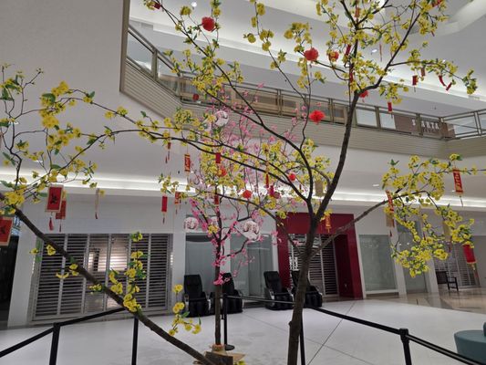 Burnsville Center by null