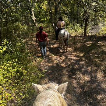 Bella Peregrina Ranch - Horseback Riding Near Me - Pflugerville, Texas Bella Peregrina Ranch - Horseback Riding Near Me - Pflugerville, Texas