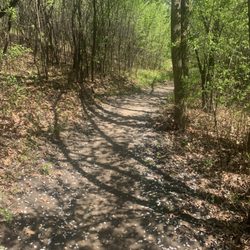 Theodore Wirth Park - Trail