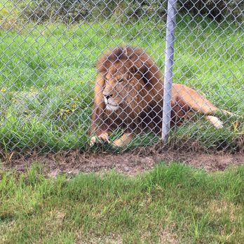 Greater Vancouver Zoo - Zoos Near Me - Aldergrove, British Columbia Greater Vancouver Zoo - Zoos Near Me - Aldergrove, British Columbia