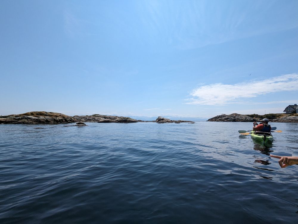 Kelp Reef Adventures Logo