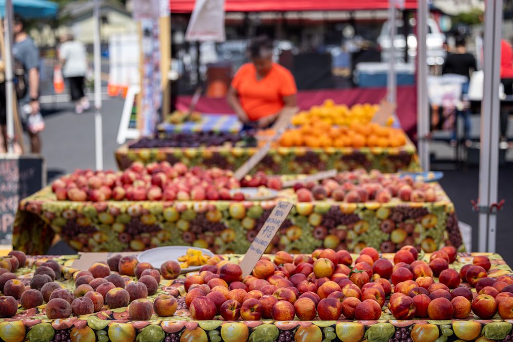 El Sobrante Farmer’s Market Logo